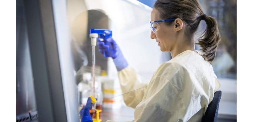 ProBioGen & Mapp Collab to Afucosylated Antibody